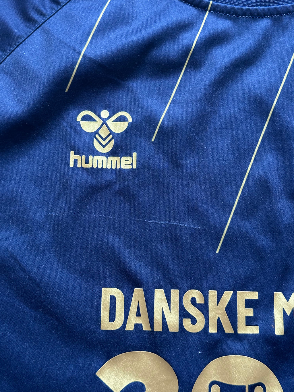 Danske Mestre 2020/2021 (XXXL)